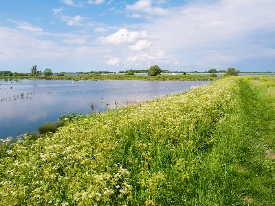 Haringvliet