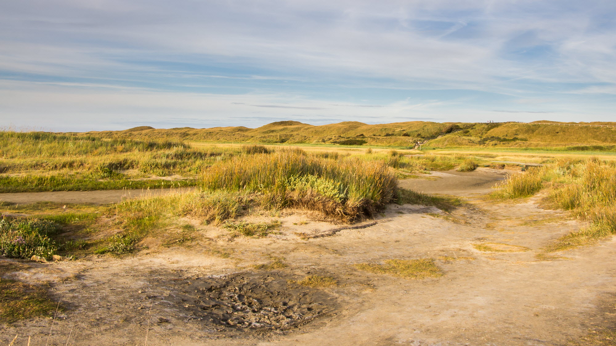 duinen en kwelder