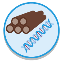 Pictogram van hout, vezels en genetische bronnen. Stapel boomstammen en DNA helix