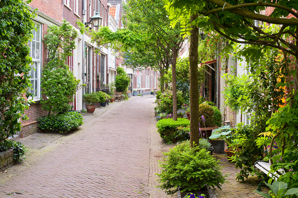 Smalle straat in Haarlem met woningen en een smal pad in het midden met heel veel groen