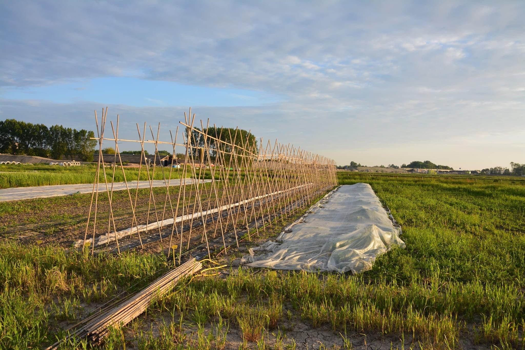 Herenboerderij De Vlinderstrik