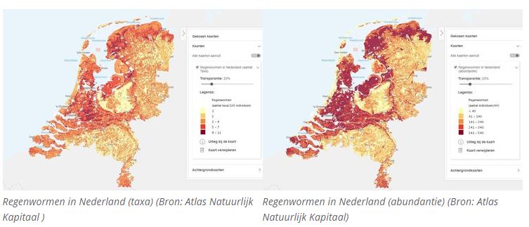 Regenwormen op de kaart