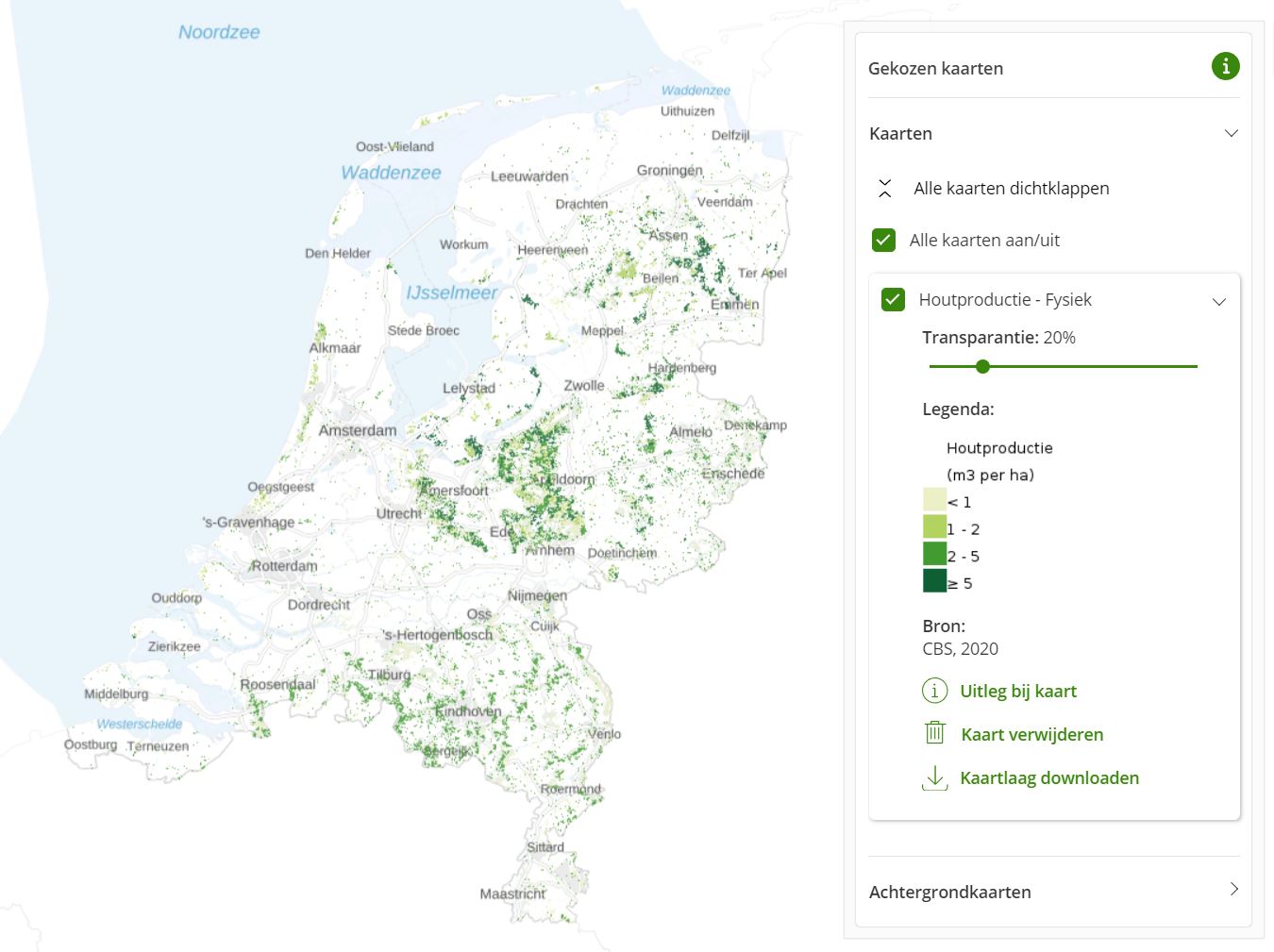 Houtproductie Fysiek