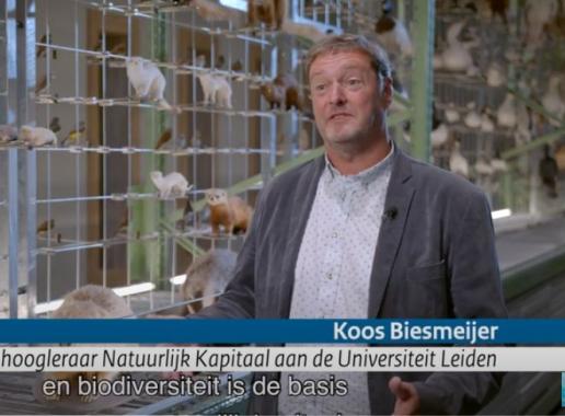 Koos Biemeier