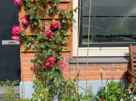 Groene voorgevel huis in Utrecht