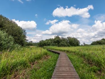 Wandelpad in de Hoge Kempen in Vlaanderen