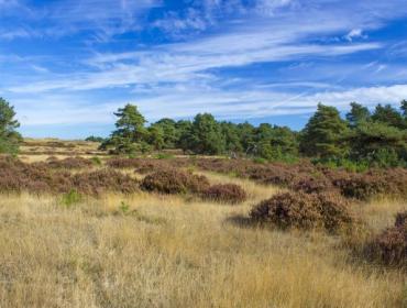 Veluwe