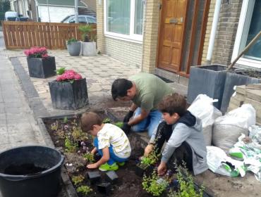 Planten in volle grond