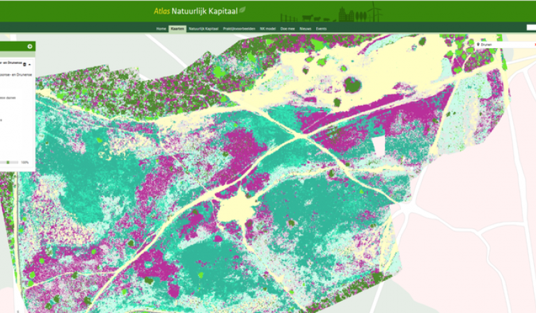 Nieuwe vegetatiekaart