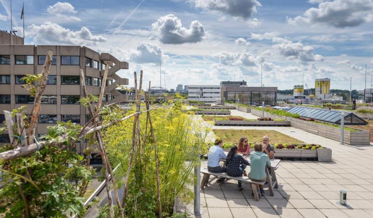 Mensen op dakterras met blauwe lucht met wolken