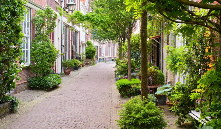 Straat in Haarlem Smalle straat in Haarlem met woningen en een smal pad in het midden met heel veel groen