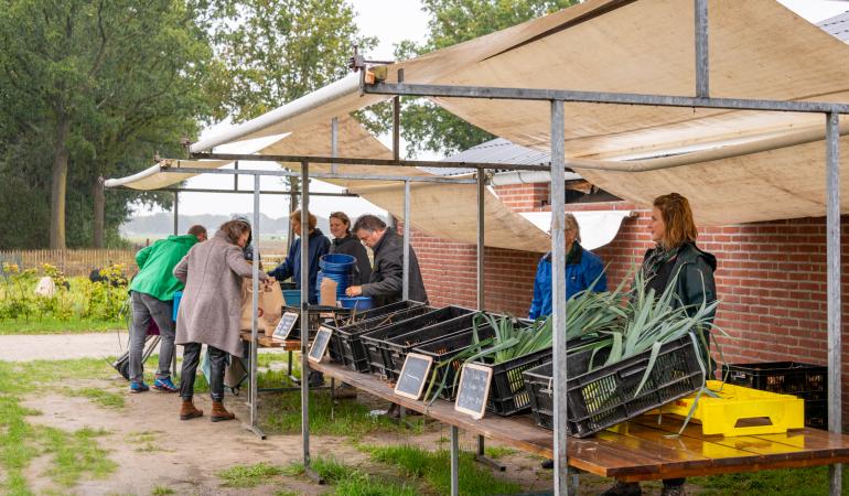 Oogst afhalen bij Herenboerderij Goedentijd 