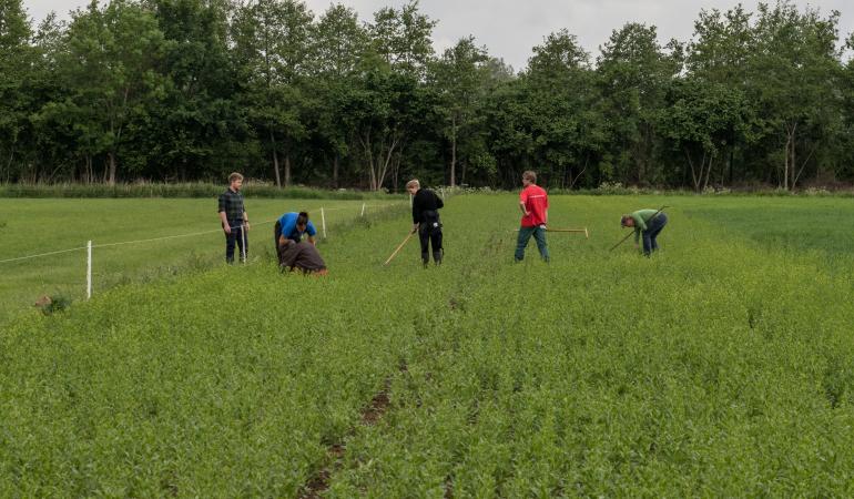 Natuurinclusieve landbouw