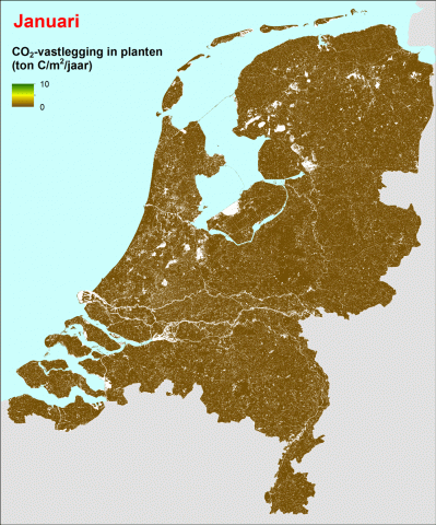 Kaart van koolstofvastlegging 2013 van maand tot maand