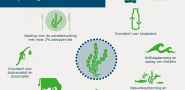 infographic WUR zeewier