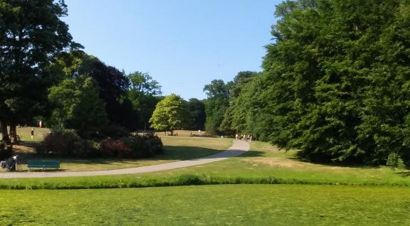 Groen park met blauwe lucht