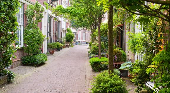 Smalle straat in Haarlem met woningen en een smal pad in het midden met heel veel groen