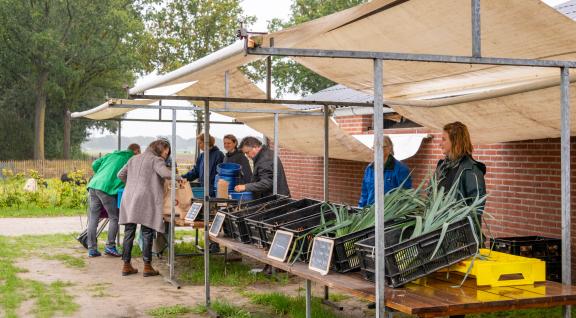 Oogst afhalen bij Herenboerderij Goedentijd 