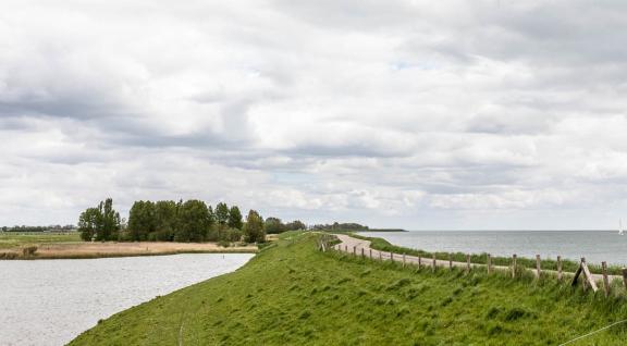 Voedselbos Schellinkwoud