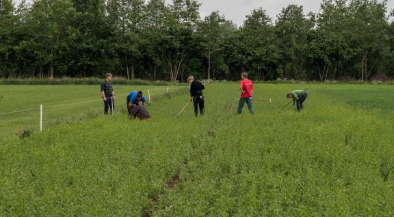 Natuurinclusieve landbouw