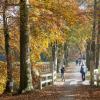 Wandelaars in bos in herfst