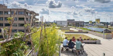 Mensen op dakterras Mensen op dakterras met blauwe lucht met wolken